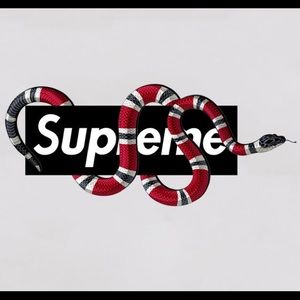 Meet your Posher, Jake